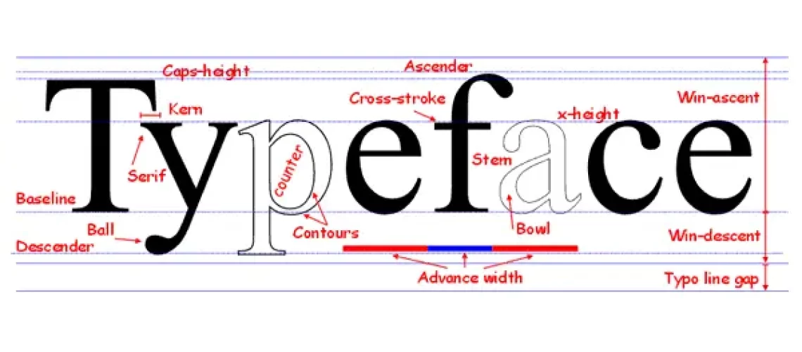 Typeface word with element descriptions