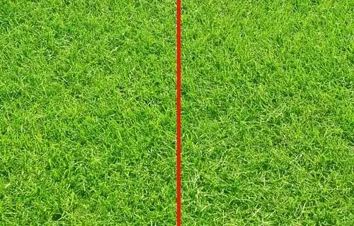 Grass Vertical Mark