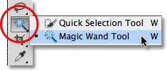 Magic Wand Tool