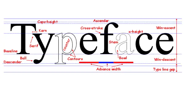Typeface word with element descriptions
